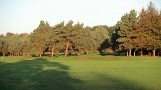 The Musselburgh - Hole 6