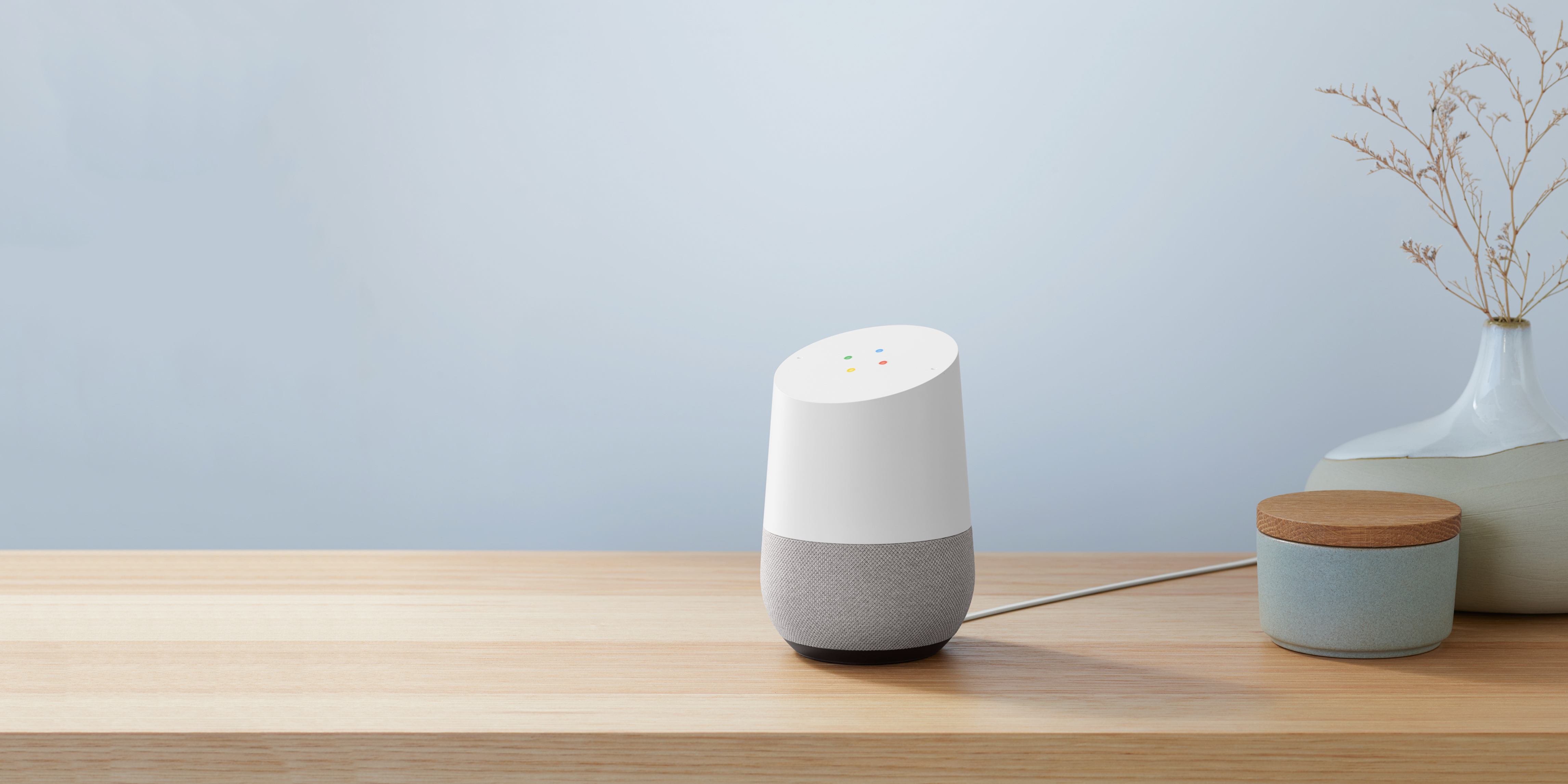 Google Home 