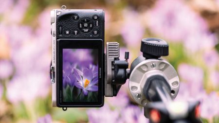 A camera on a tripod focuses on a blooming purple flower, displayed clearly on its screen. The background is blurred with similar flowers and greenery