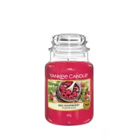 Yankee Candle Red Raspberry (Large) – was £24.99, now £15.99 (save £9.00)