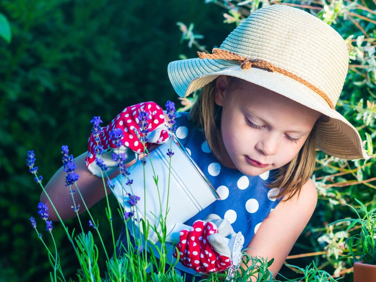 Little Girl Watering Plants In The Garden