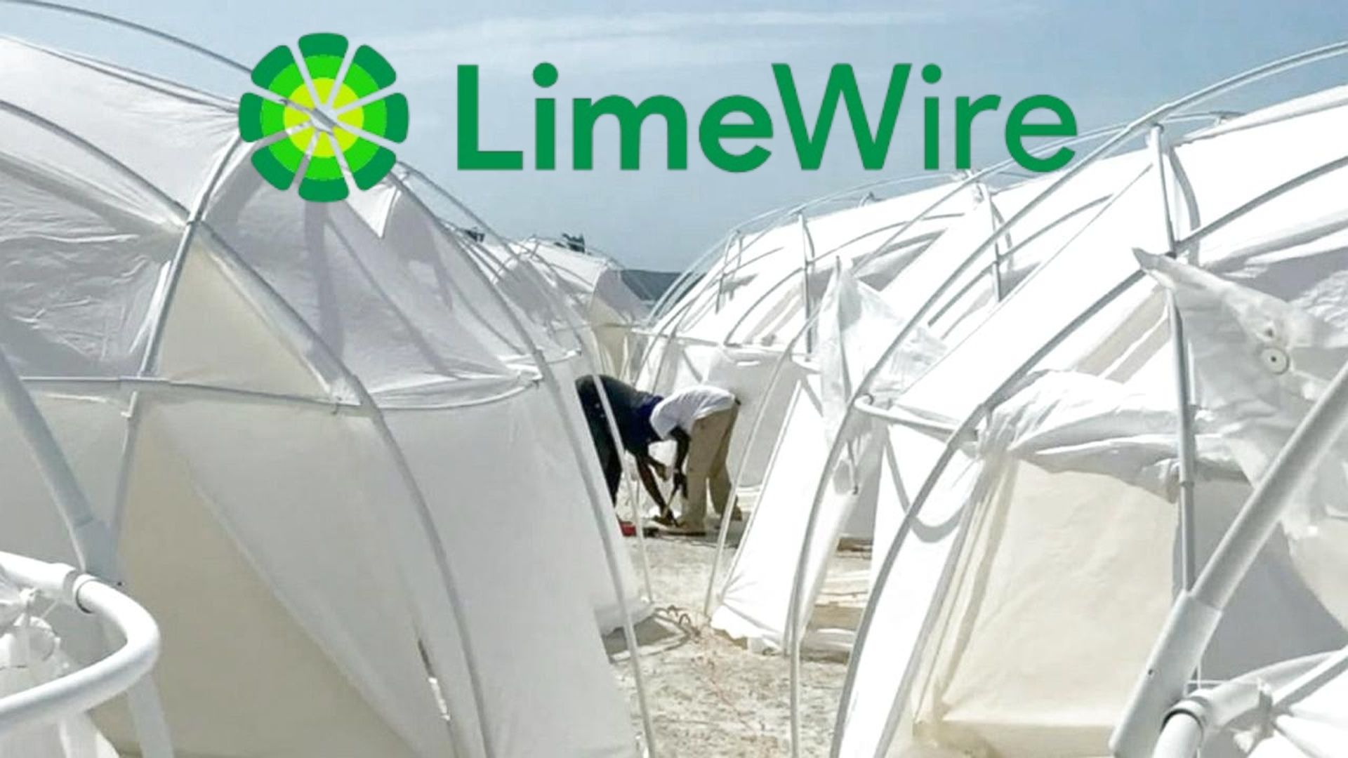 Limewire logo on Fyre Festival as seen in the ABC documentary The Con 