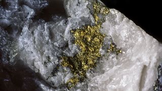 Gold deposits in a quartz crystal against a black background.