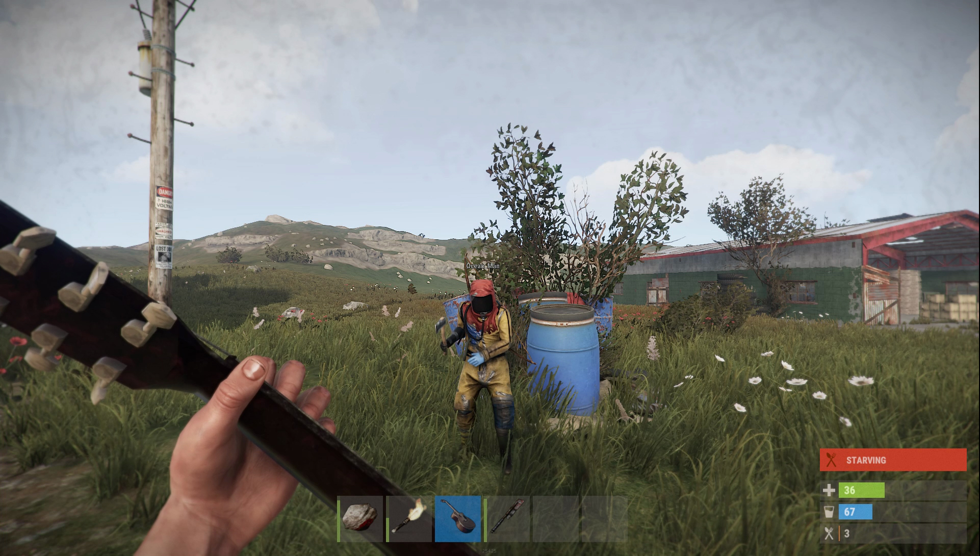 Rust Review PC Gamer