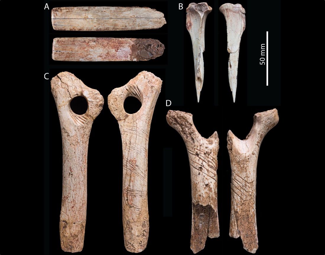 A bone from the right forearm of an adult human unearthed in Gough&#039;s Cave bears more than signs of cannibalism; researchers found zigzagging cuts that were likely intentionally engraved into the bone.