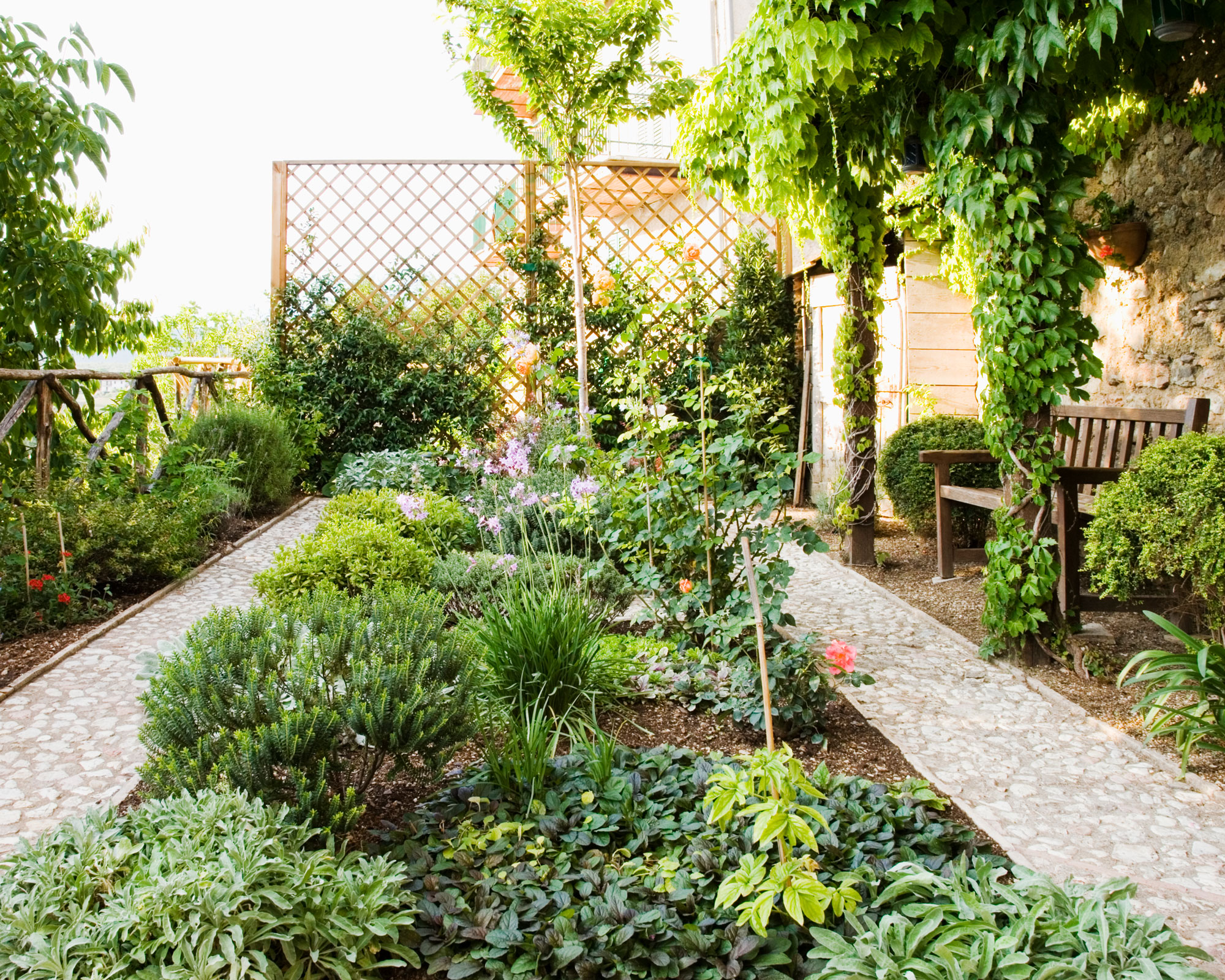 garden design with flower beds, paths, fence, privacy screen, trees and garden bench