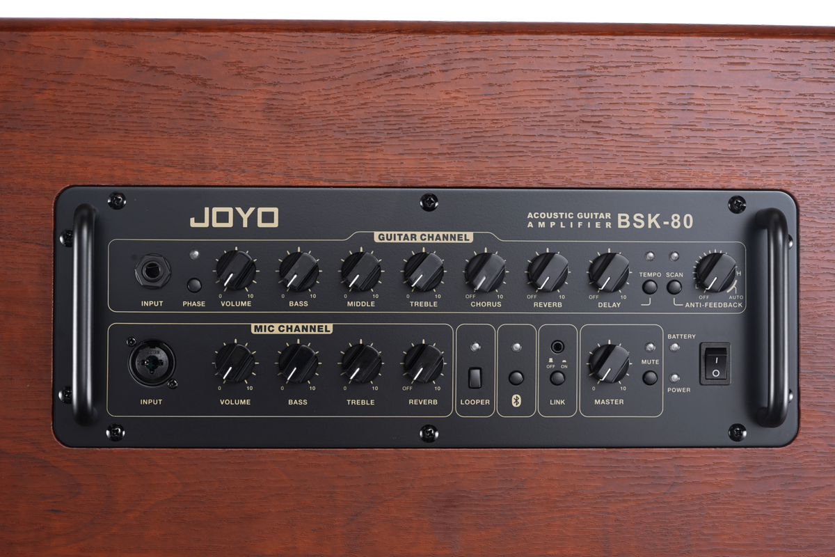 Closeups of the Joyo BSK-80 amp