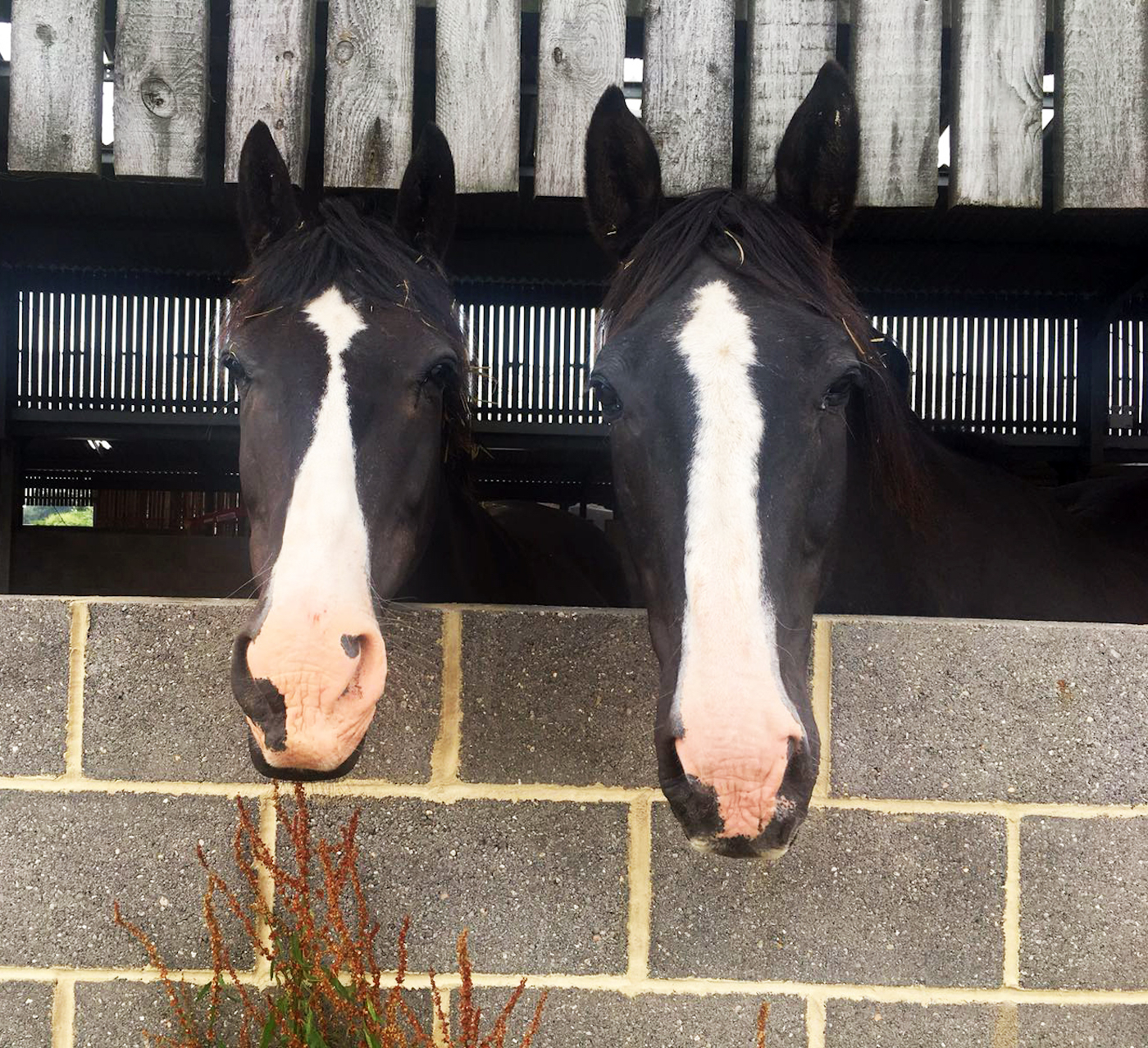 Arnhem_Churchill_Barn_July18