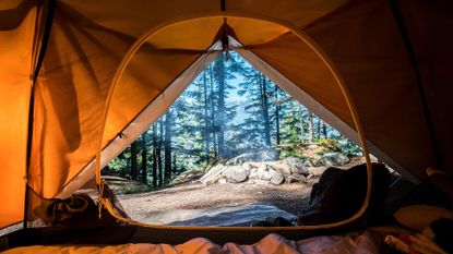 best tent: Shot looking out of a tent into a forest