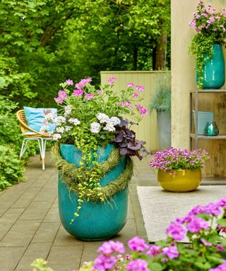 Summer container ideas: 12 seasonal looks for colorful pots | Gardeningetc