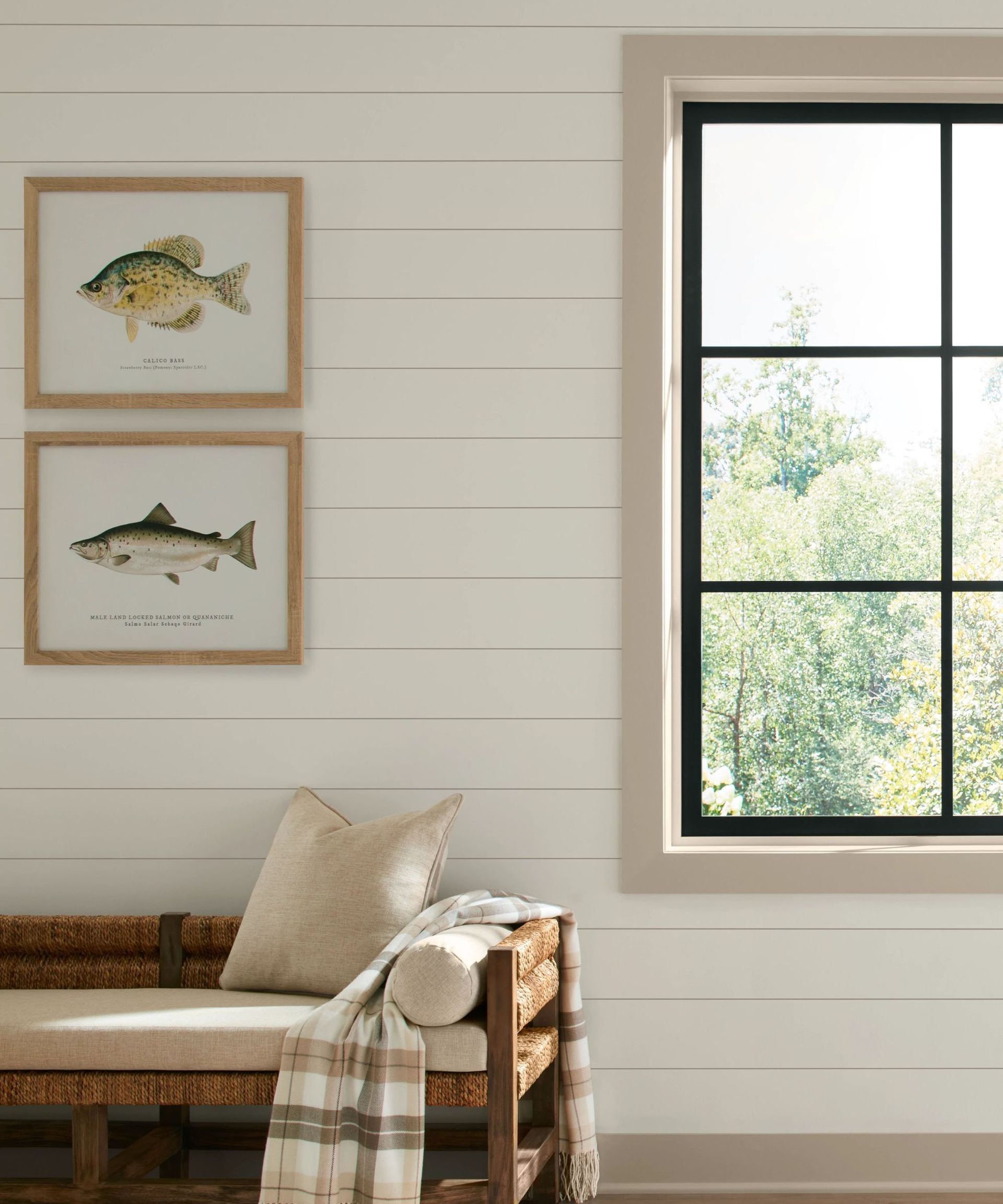 A panelled wall painted in Shiitake by Sherwin Williams, there are framed prints of fish illustrations, a window with views of a garden and a bench with neutral upholstery