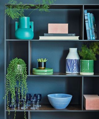 Shelves in a room, storage on a dark blue wall, vases and ceramics on display, and four green plants with a varied leaf shape