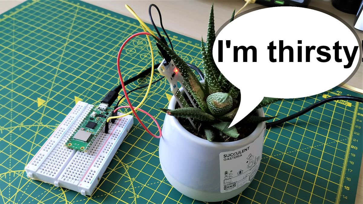 How To Monitor Your Houseplants With Raspberry Pi Pico W and Telegram ...