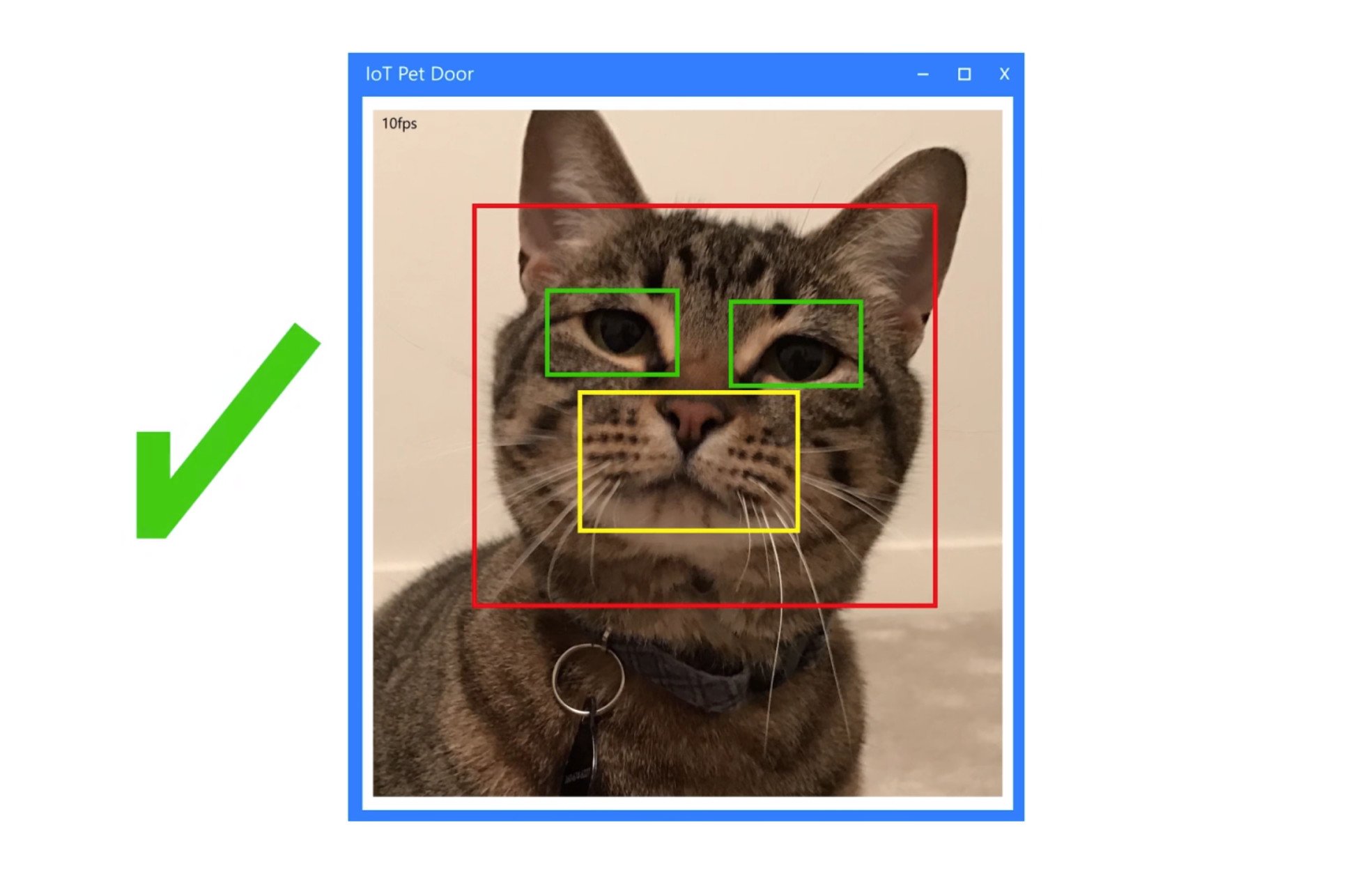 Automatic cat door with facial recognition sale