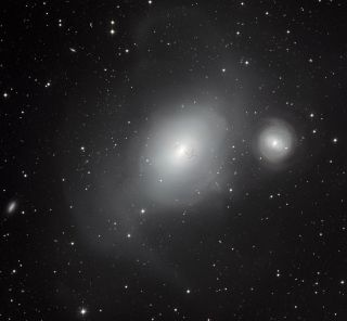 Contrasting Galaxies NGC 1316 and 1317