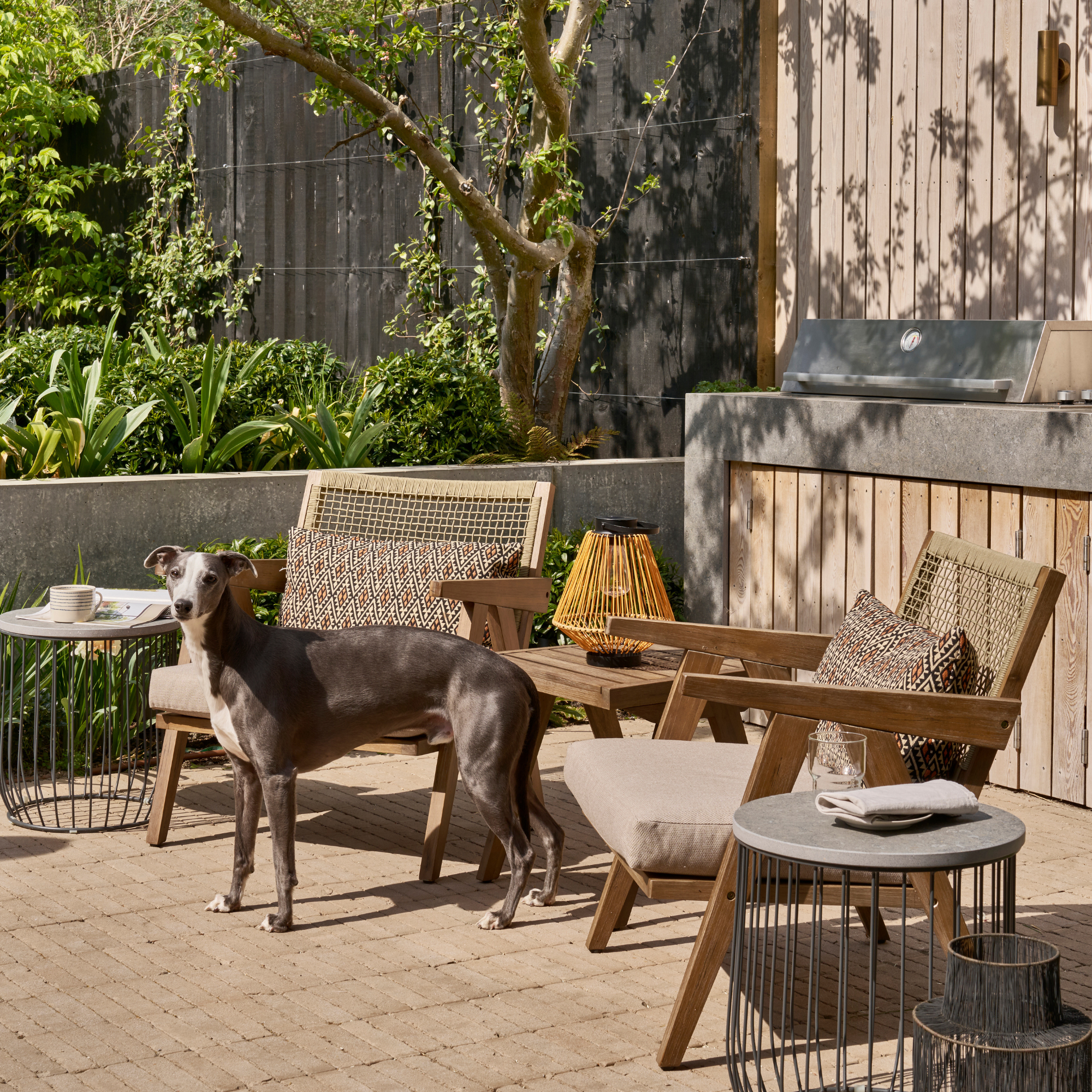 A dog sat on a patio next to two garden chairs.
