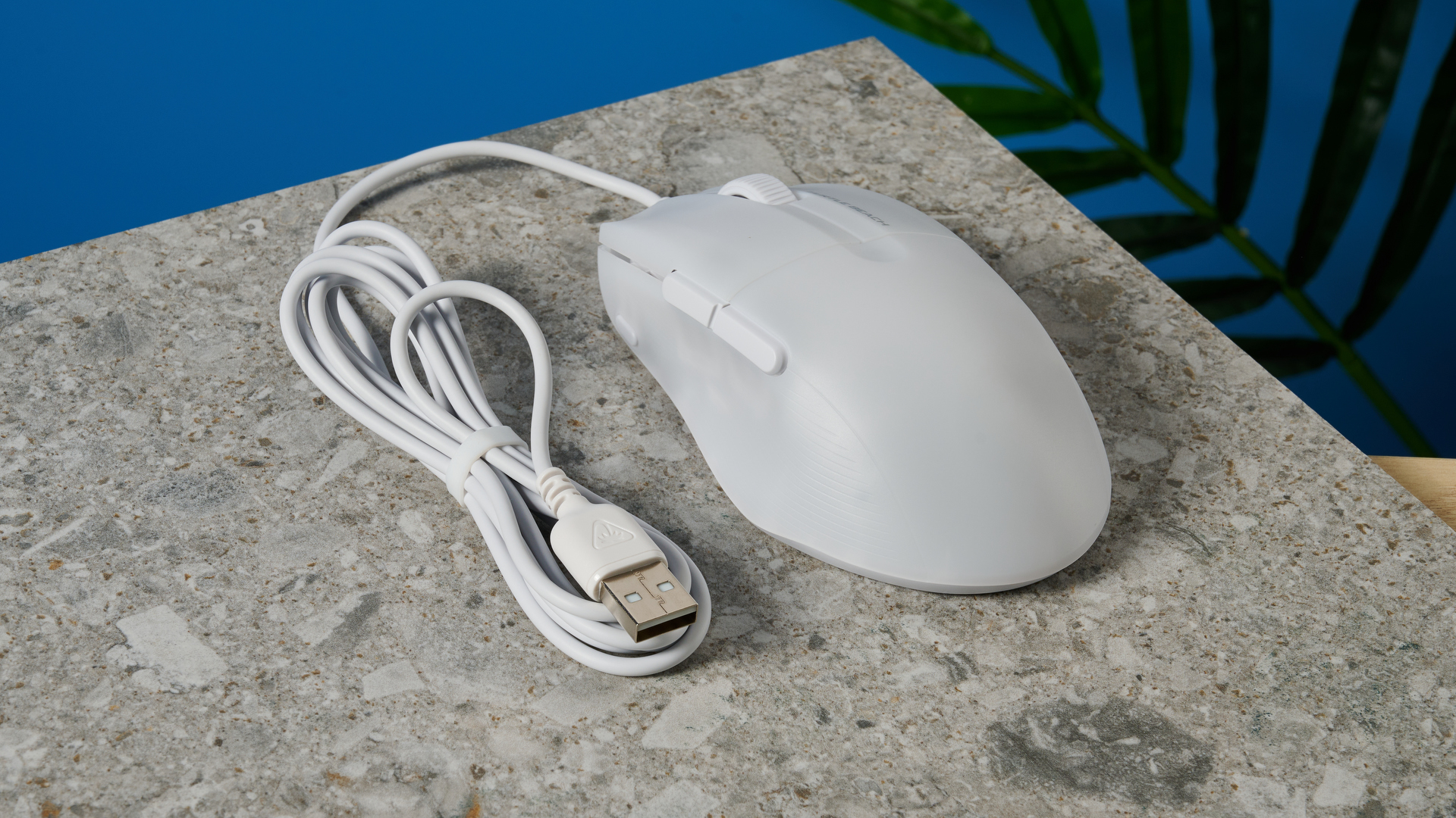 Photograph of Turtle Beach Pure SEL wired gaming mouse in white