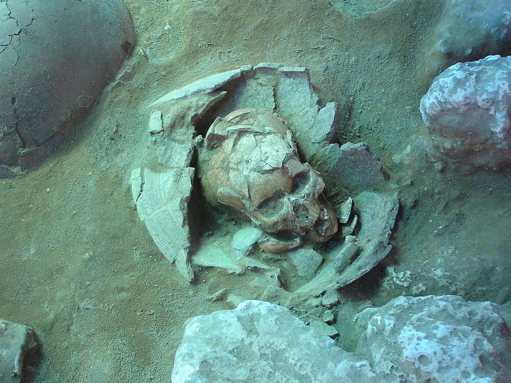 skull from vanuatu