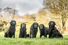 ©Sarah Farnsworth / Country Life