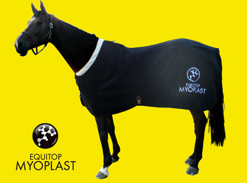 HorseRugSmallFor-Facebook.jpg.jpg