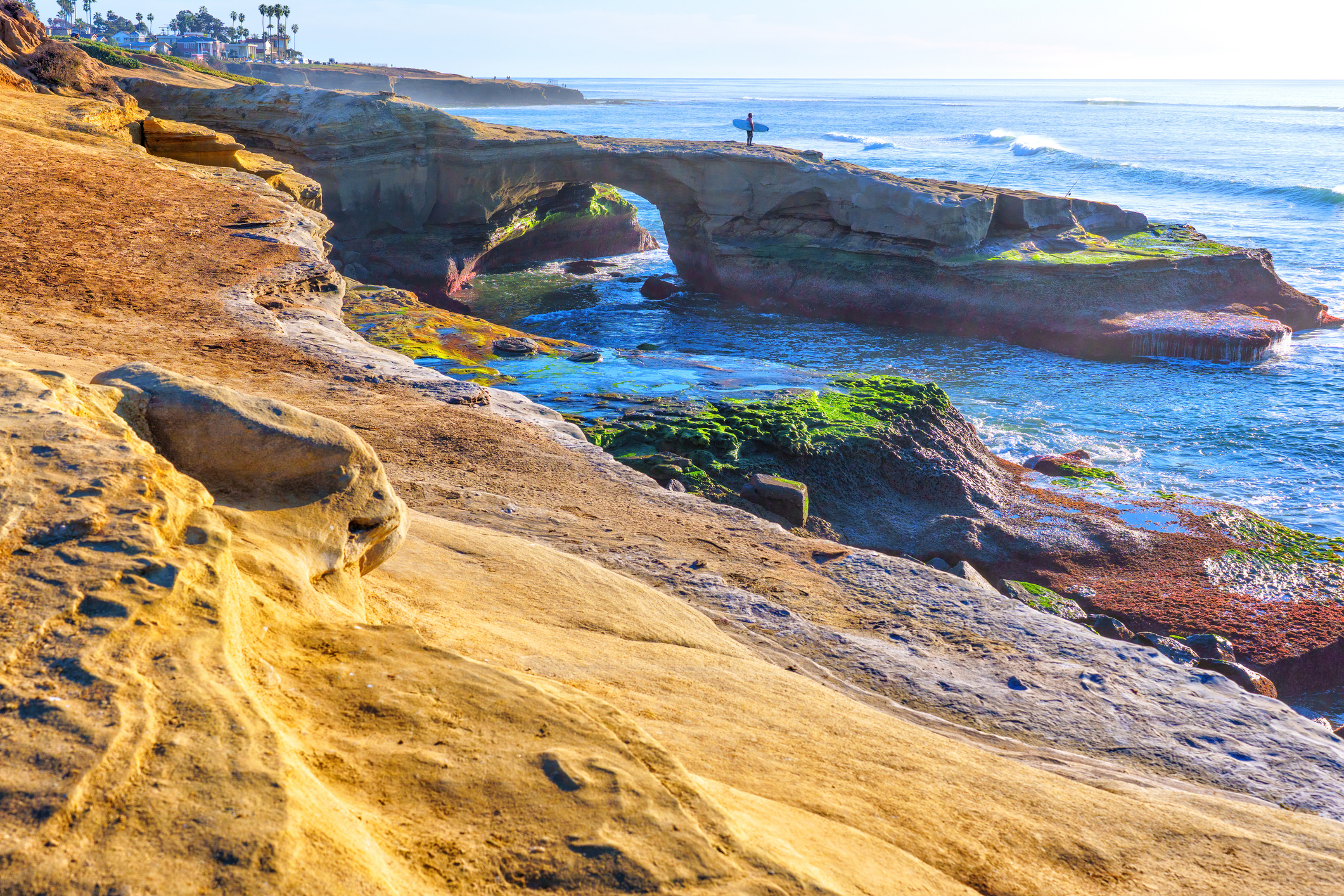 Vibrant coastal scene at La Jolla Cove, San Diego, featuring a natural rock arch over tranquil waters during golden hour, showcasing colorful marine algae and cliffs.