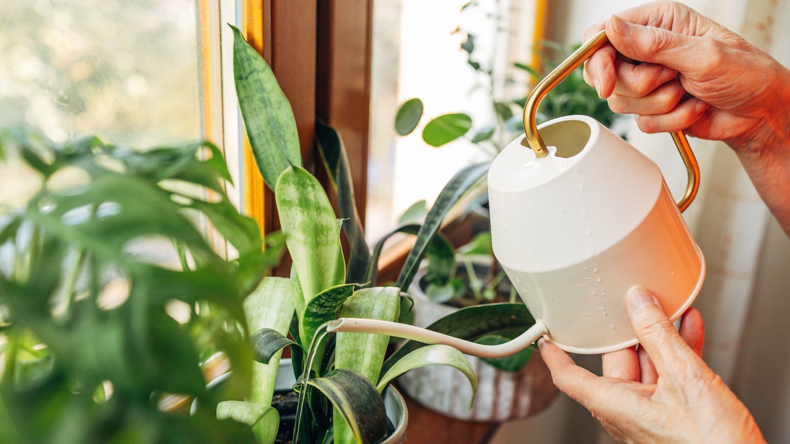 IKEA's Stylish Watering Can is a Bestseller For a Reason – it's a Must-Have For Every Houseplant Enthusiast