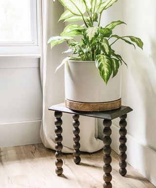 A wooden DIY plant stand with circular bead detail