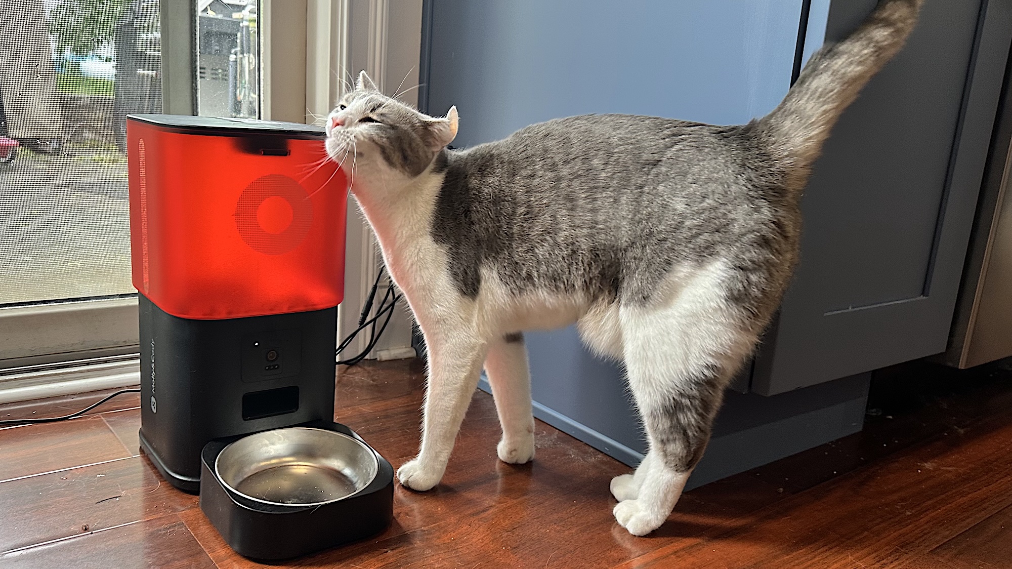 Can rubbing against Molly&amp;Cody cat feeder