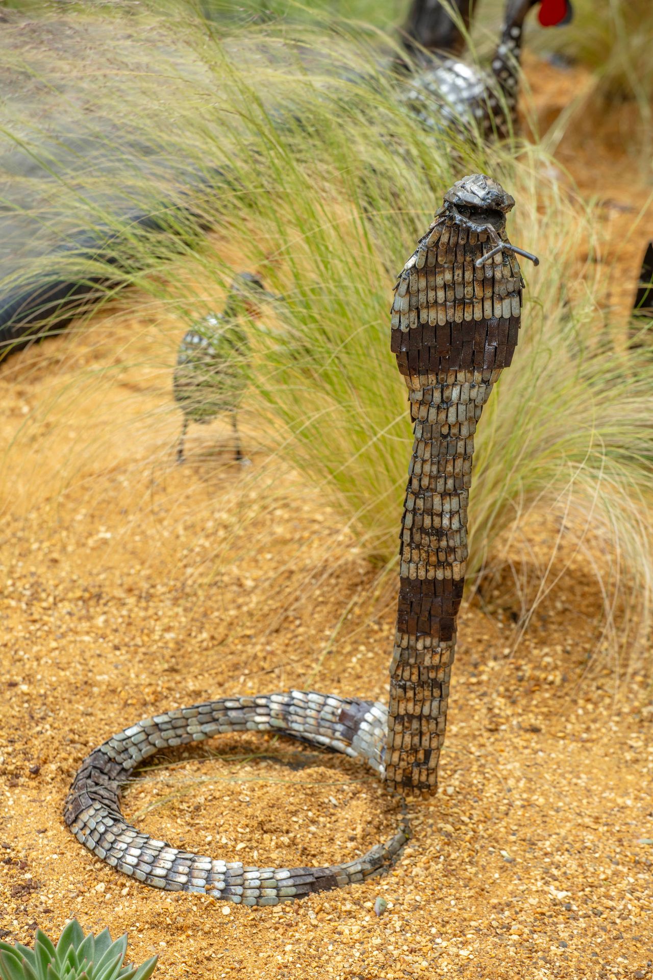 Chi Africa Animals at RHS Chelsea Flower Show 2026