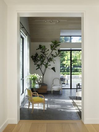 light and airy living room with a big indoor tree