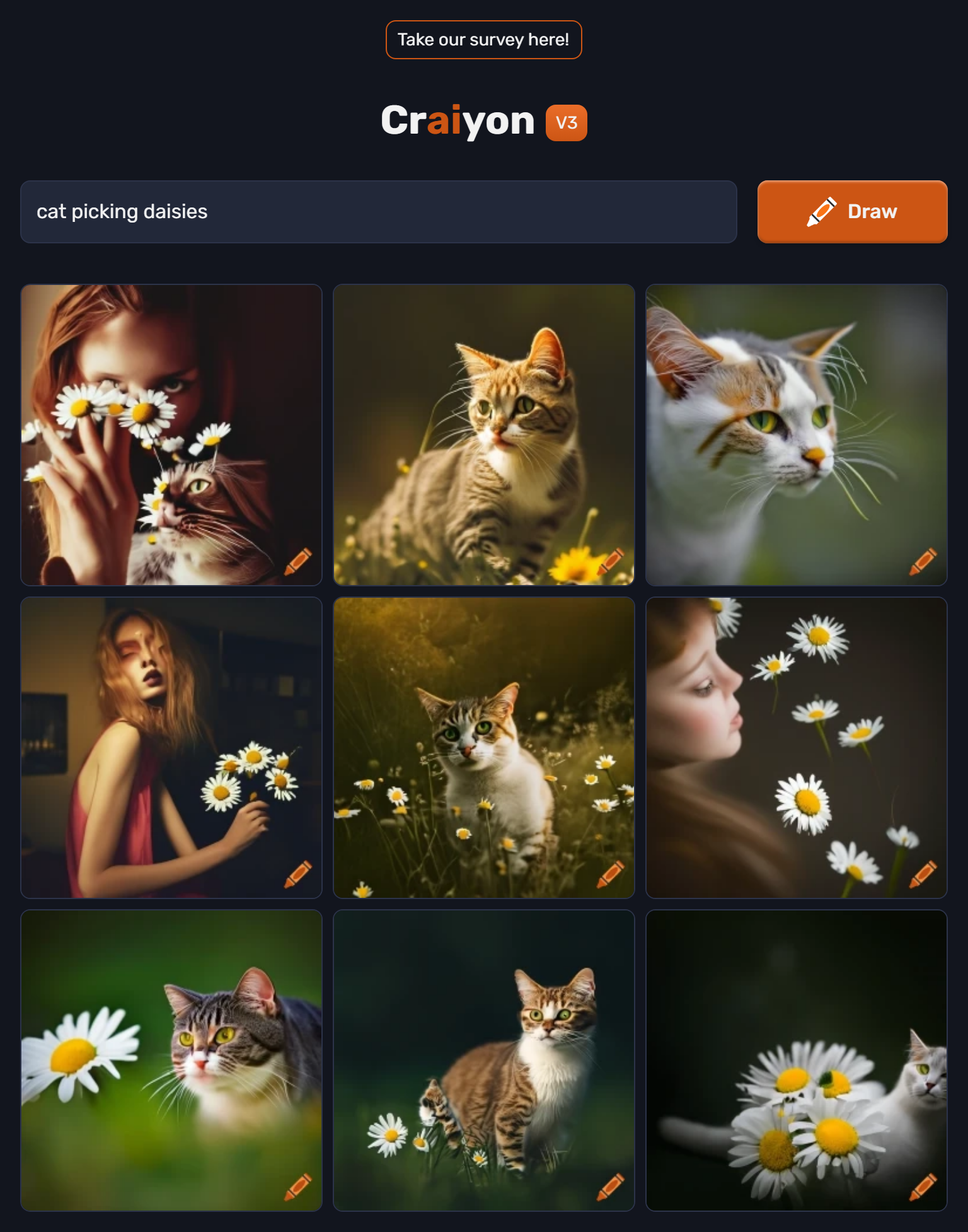 images of cat picking daisies
