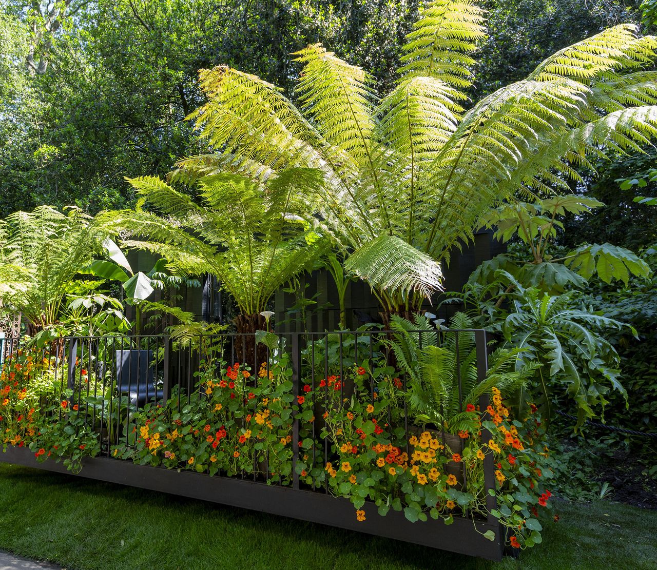 The Addleshaw Goddard Junglette Garden at RHS Chelsea Flower Show 2024.