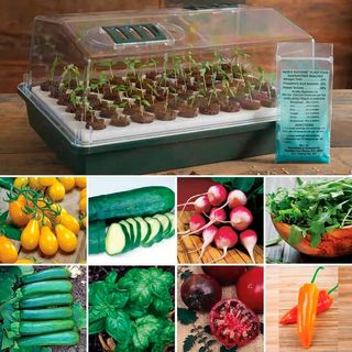 Collage of vegetables and seed starting kit