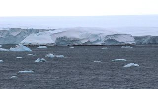 The rocky coast of Sif Island peeks out under a mound of Antarctic ice.