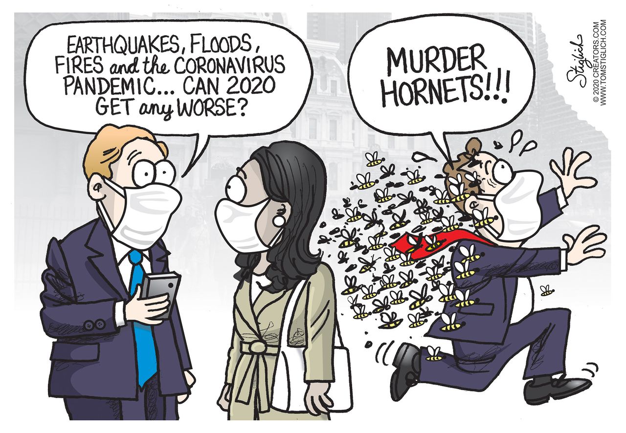 Editorial Cartoon U.S. murder hornets coronavirus