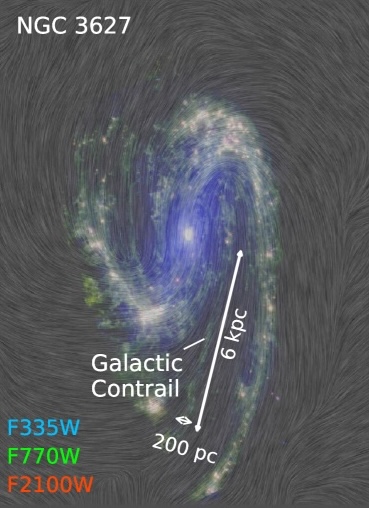 A diagram showing the galaxy NGC 3627 with a its contrail outlined