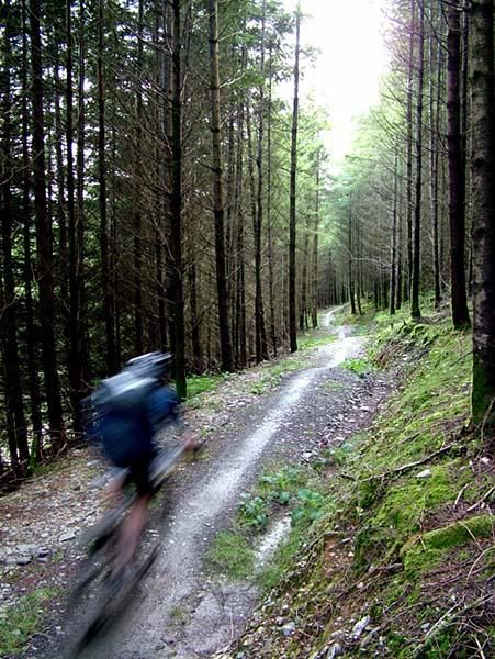 Special stage singletrack