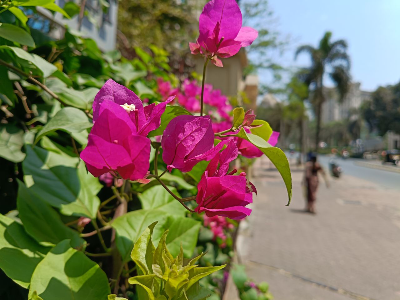 Realme 12 Plus 5G review samples