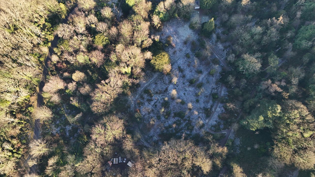 A photo of a park taken on a DJI Flip drone