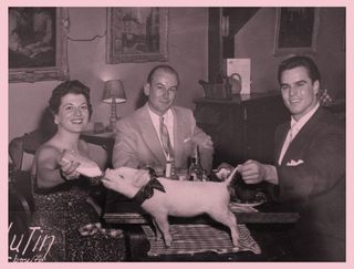 Image of a piglet being bottle-fed in a restaurant