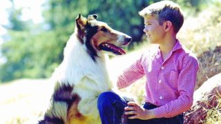Lassie dog with Jon Provost from TV series