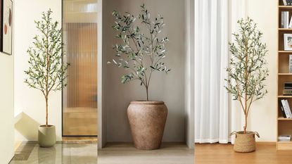 A three panel image showing the best faux olive trees
