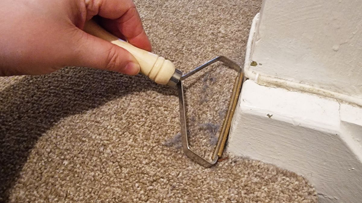 Carpet rake carpet cleaner