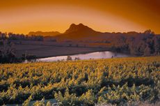 south africa wine exports 2018
