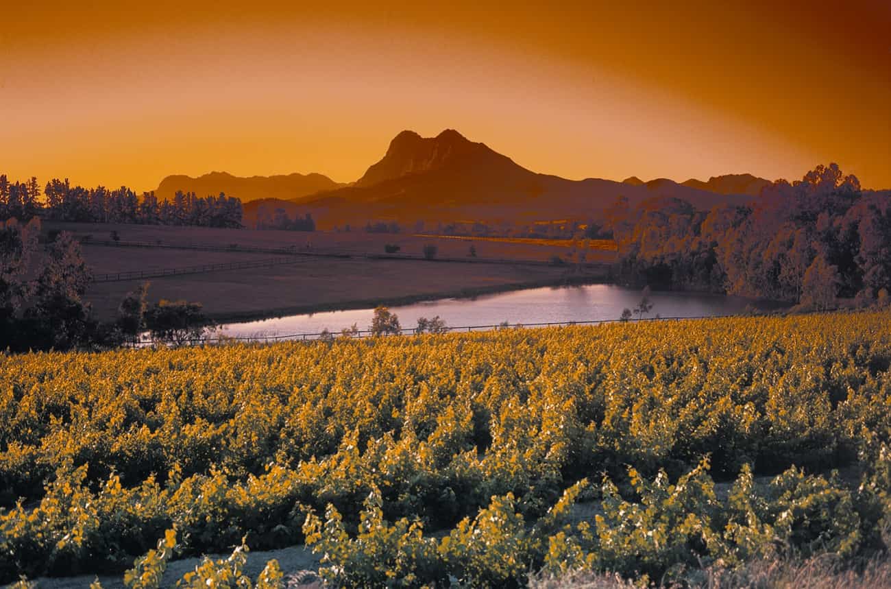 south africa wine exports 2018