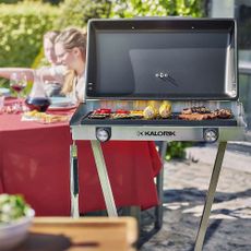 electric barbecue with grill and removable dip tray