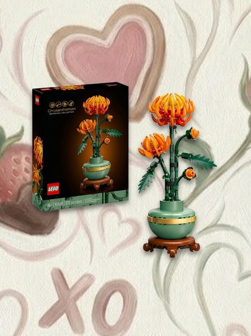 Botanicals Chrysanthemum