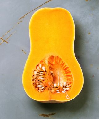 Hunter butternut squash freshly harvested and sliced to show seeds