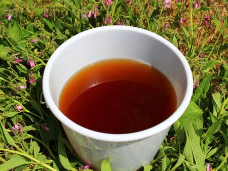 A Cup Of Comfrey Tea In The Garden