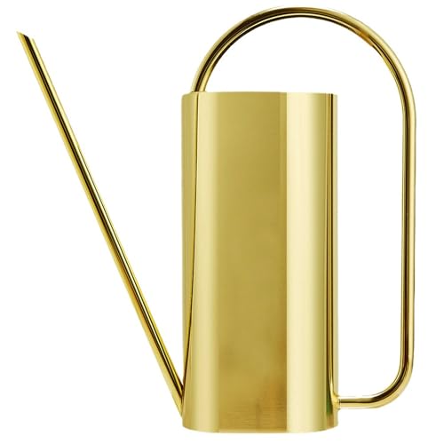 Chemlliy Watering Can for Indoor Plants, 50 Oz/1.5l Stainless Steel Watering Can Pot With Long Spout, Garden Watering Cans With Comfortable Handle for Indoor House Plants Bonsai Flower Decorative